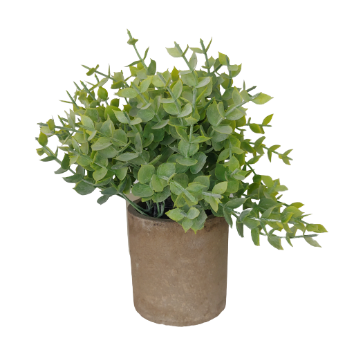 MACETA CON PLANTA 22CM