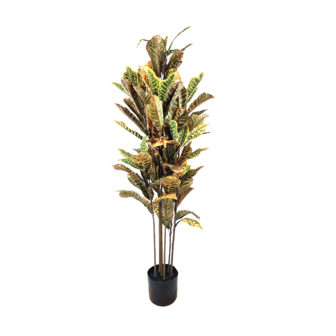 ARBOL 145CM