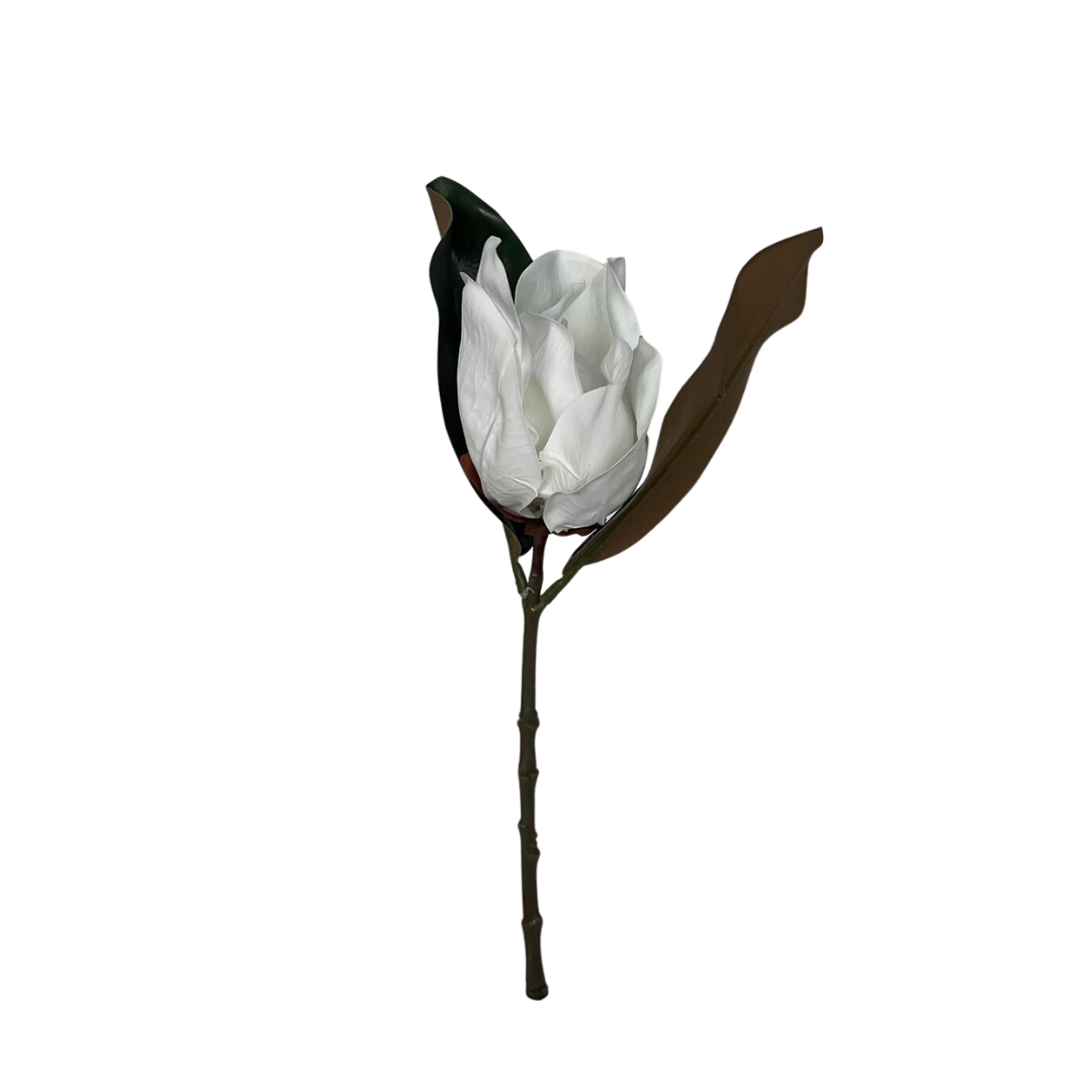 PICK DE MAGNOLIA