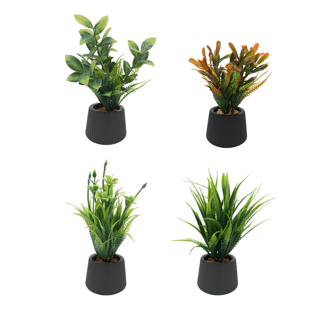 MINI PLANTIN EN MACETA ...