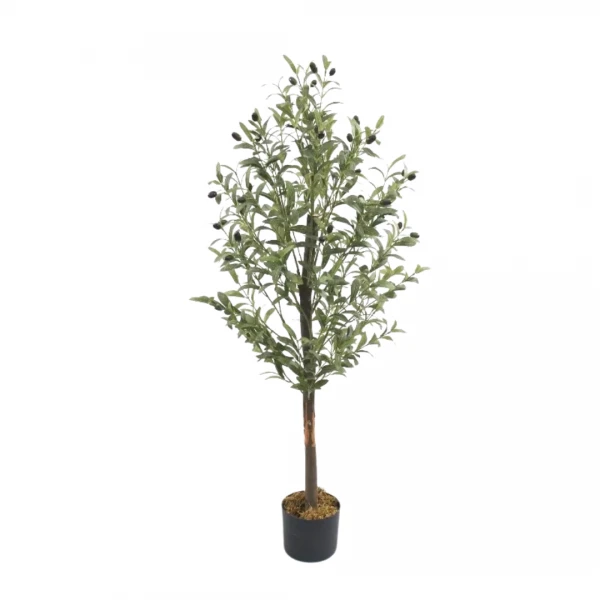 PLANTA OLIVO 150 CM