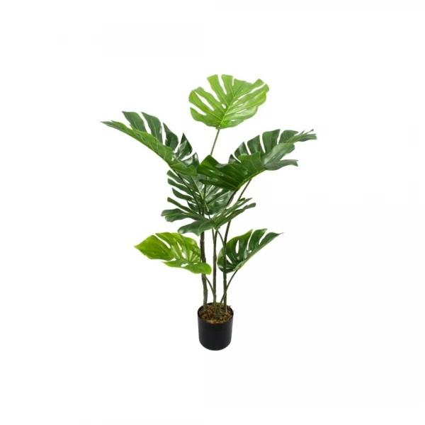 PALMERA MONSTERA 90 CM