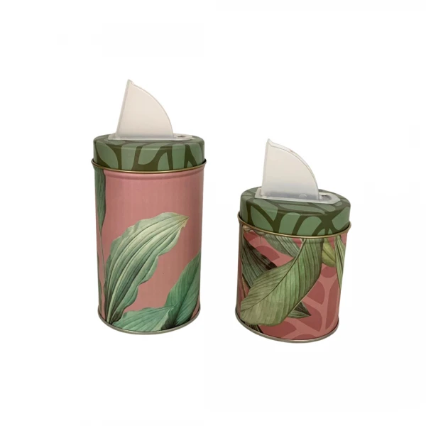SET LATAS X2