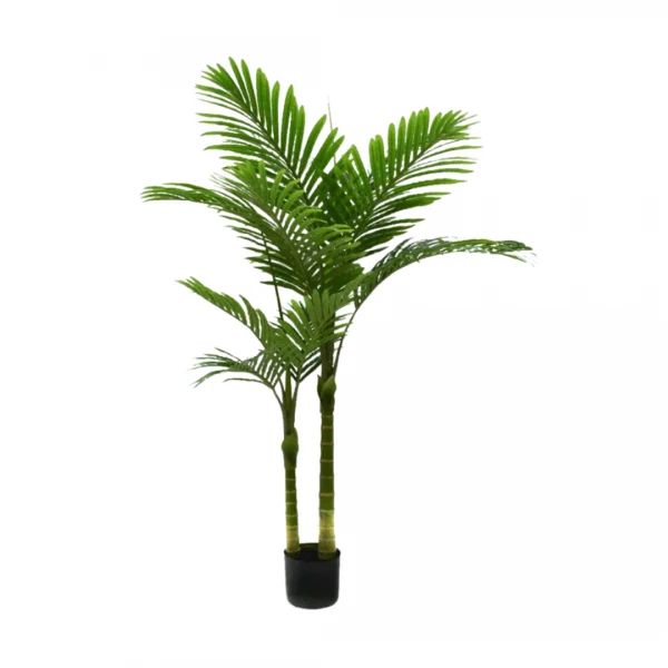 PALMERA CATECHU 140CM