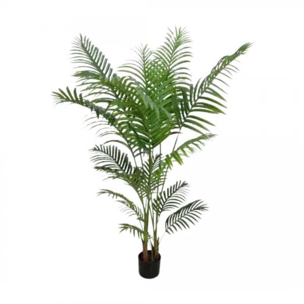 PALMERA 160CM