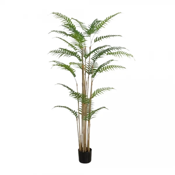 PALMERA 160CM