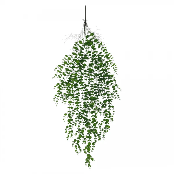 CAIDA EUCALIPTUS 95CM