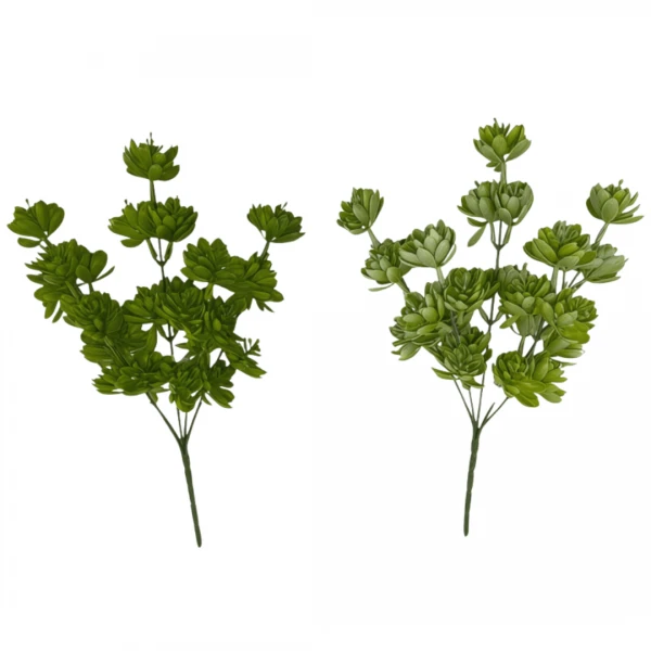 PLANTIN LOTUS 30CM