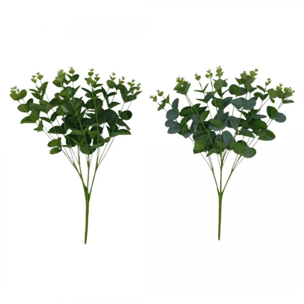 MATA DE FITONIA 50CM