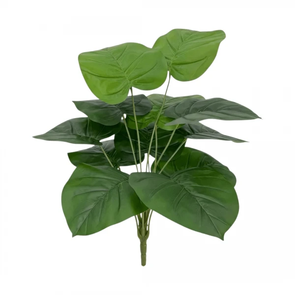 VARA ALOCASIA X12 HOJAS...