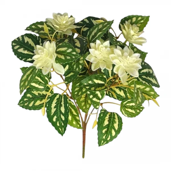 MATA PILEA CON FLOR 32C...