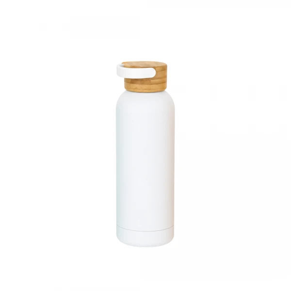 BOTELLA TERMICA 500ML