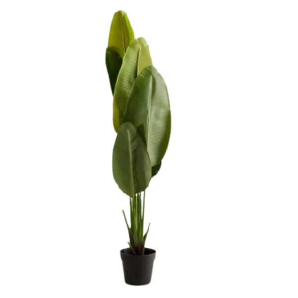 PLANTA MOSTERA 120CM